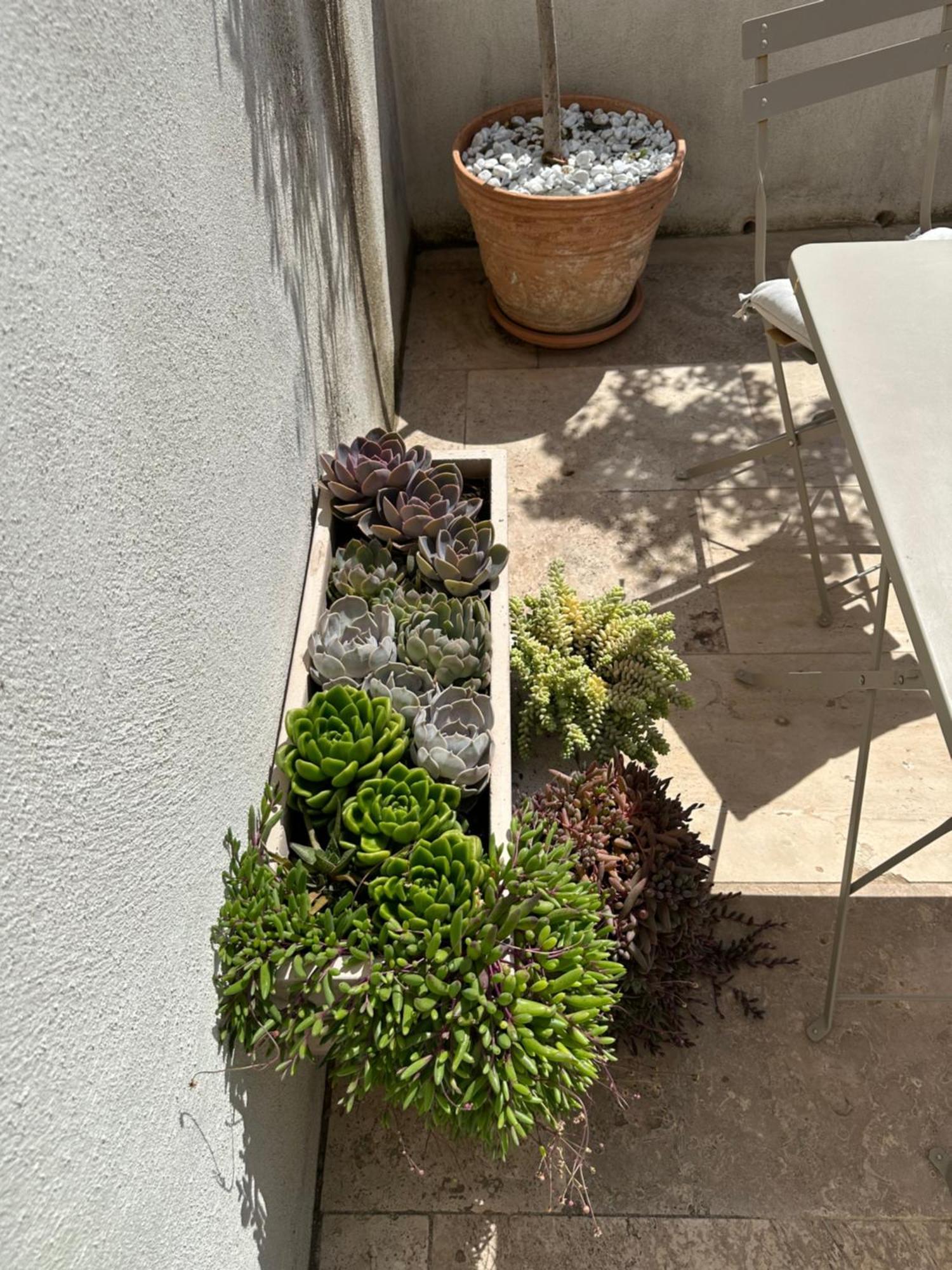 Appartements 3 Etoiles Terrasse Ou Patio Intra-Muros Aigues-Mortes Εξωτερικό φωτογραφία